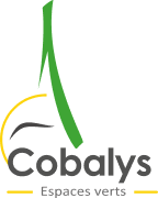 COBALYS